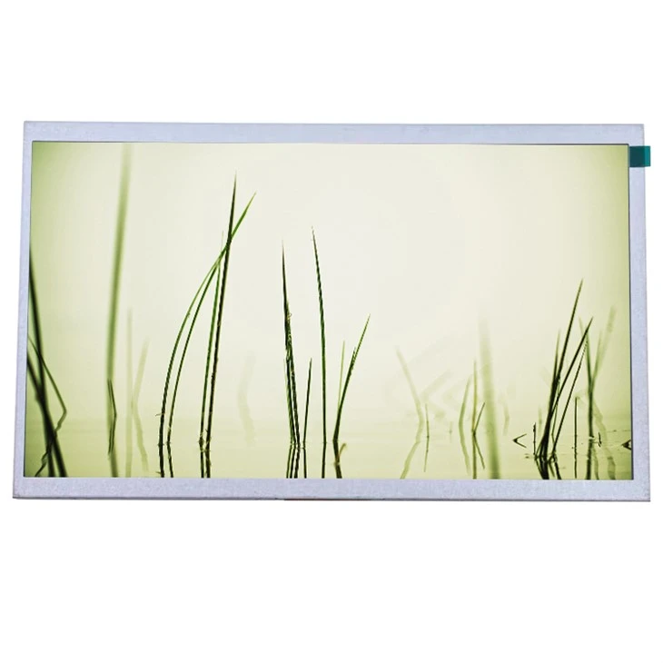 EV101WS0-M00 10.1 شاشة LCD بوصة للصناعة