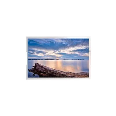 24.5 بوصة DV245QHB-N30 شاشة LCD