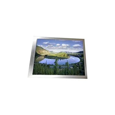 P1010WSN1MA 00 10.1 بوصة 1024 * 600 TFT - شاشة LCD للأغراض الصناعية
